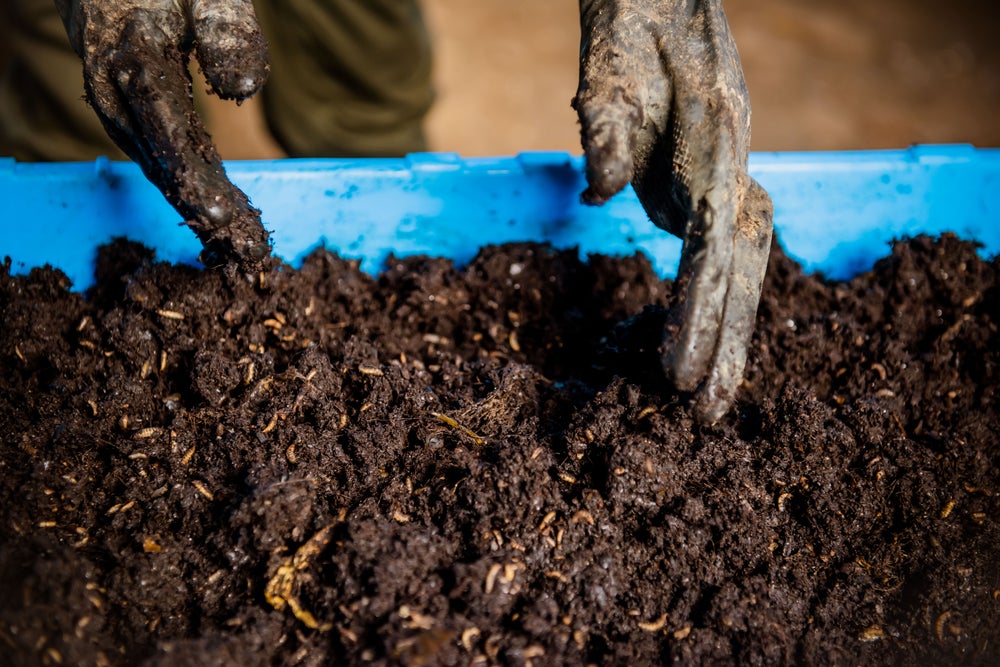 Producing Organic Fertilizer